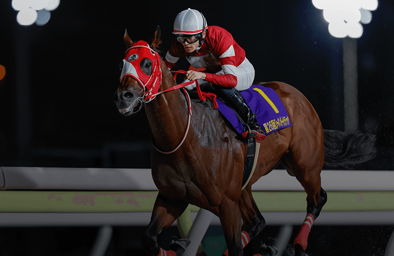 breederscup.com