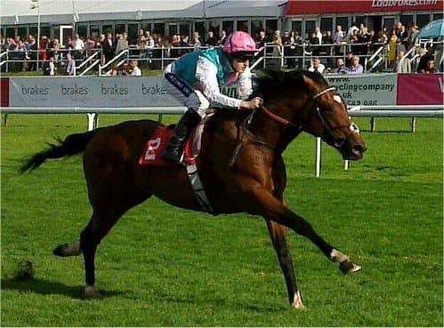 RacingKel - Flickr: Frankel